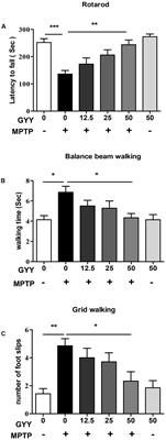 GYY4137, an H2S Slow-Releasing Donor, Prevents Nitrative Stress and α-Synuclein Nitration in an MPTP Mouse Model of Parkinson’s Disease